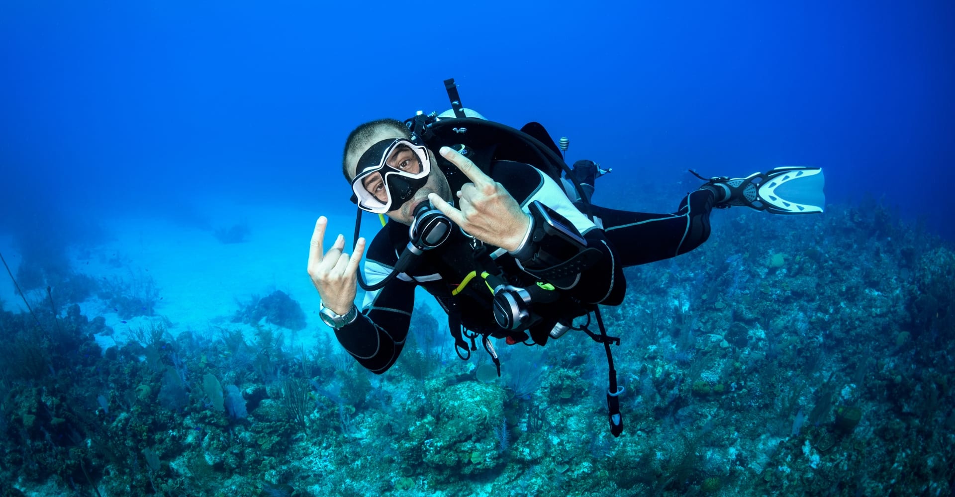 Diving Tour in the Rosario Islands