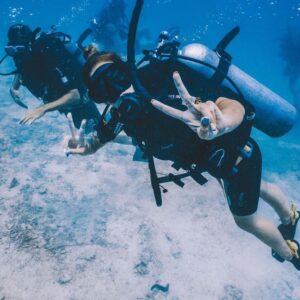 Diving Tour in the Rosario Islands