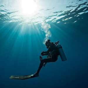 Diving Tour in the Rosario Islands