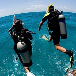 Diving Tour in the Rosario Islands