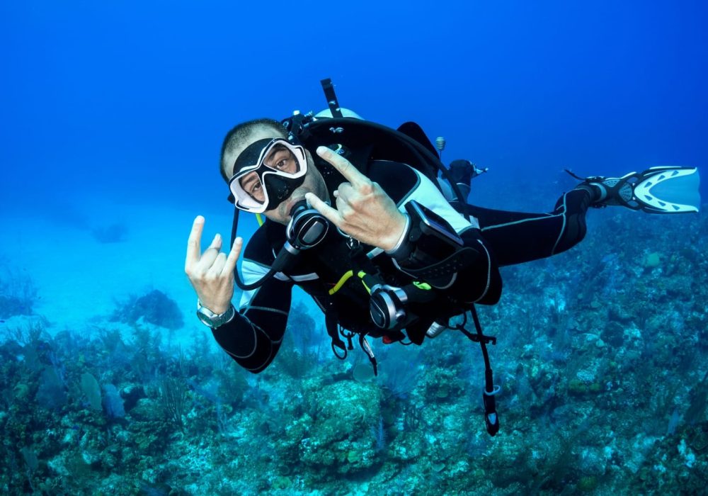 Diving Tour in the Rosario Islands